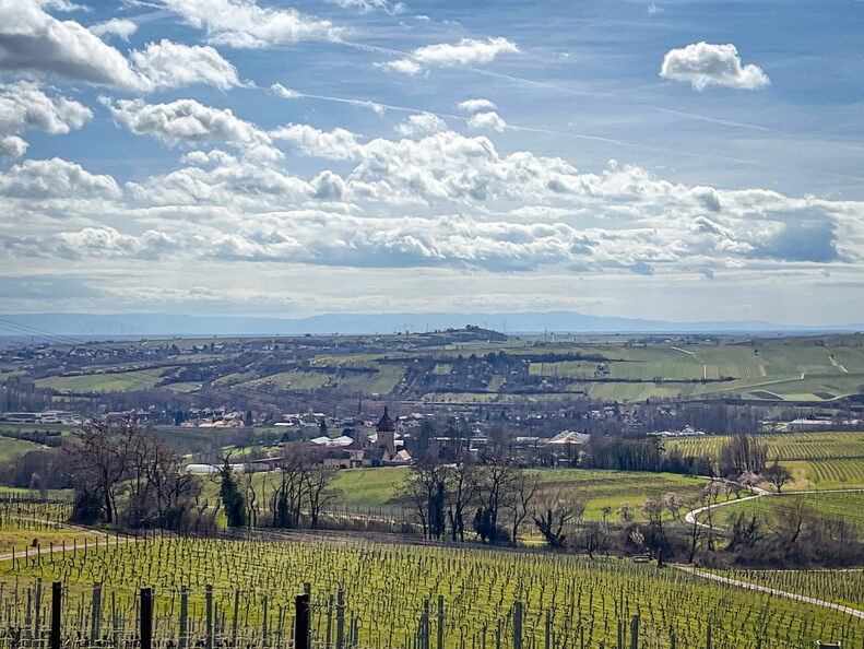 23-03-13 12-09-53 4847